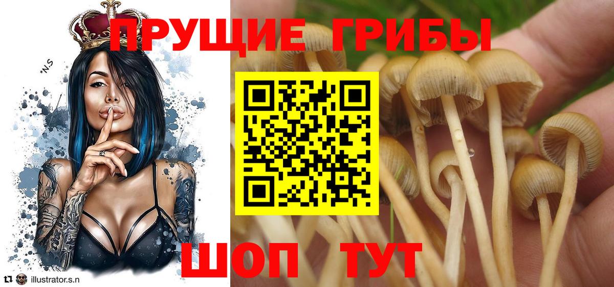 Альметьевск  цена наркотик  Вход с VPN  Галлюциногенные грибы MAGIC MUSHROOMS 
