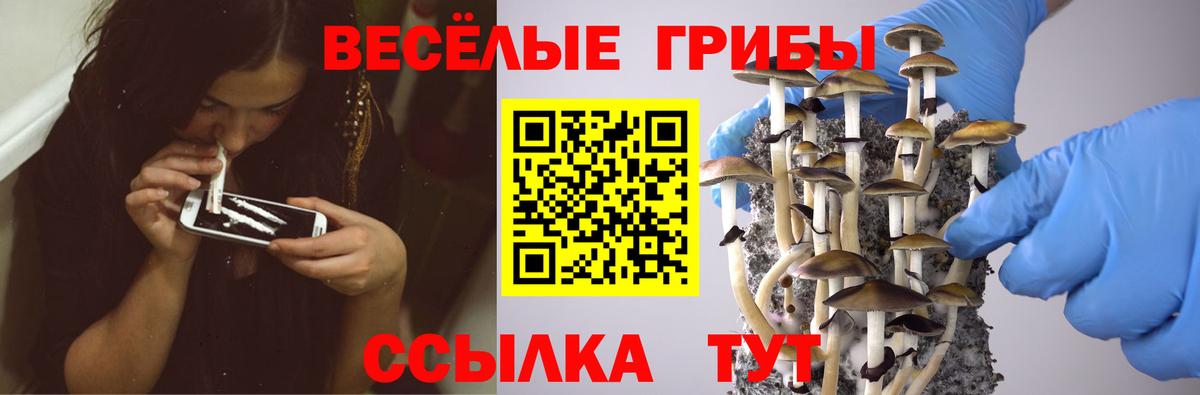 Галлюциногенные грибы ЛСД Альметьевск