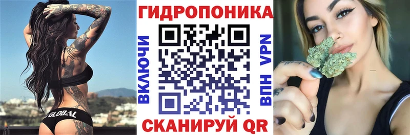 купить omg ссылка Шишки марихуана планчик Альметьевск